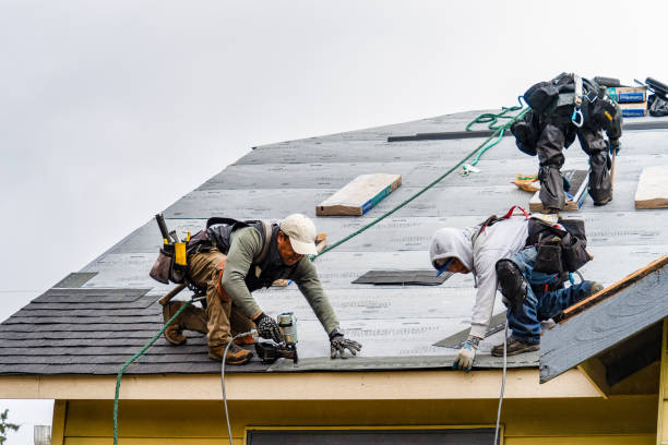 Professional Storm Damage Roof Repair technician working in North Street, MI